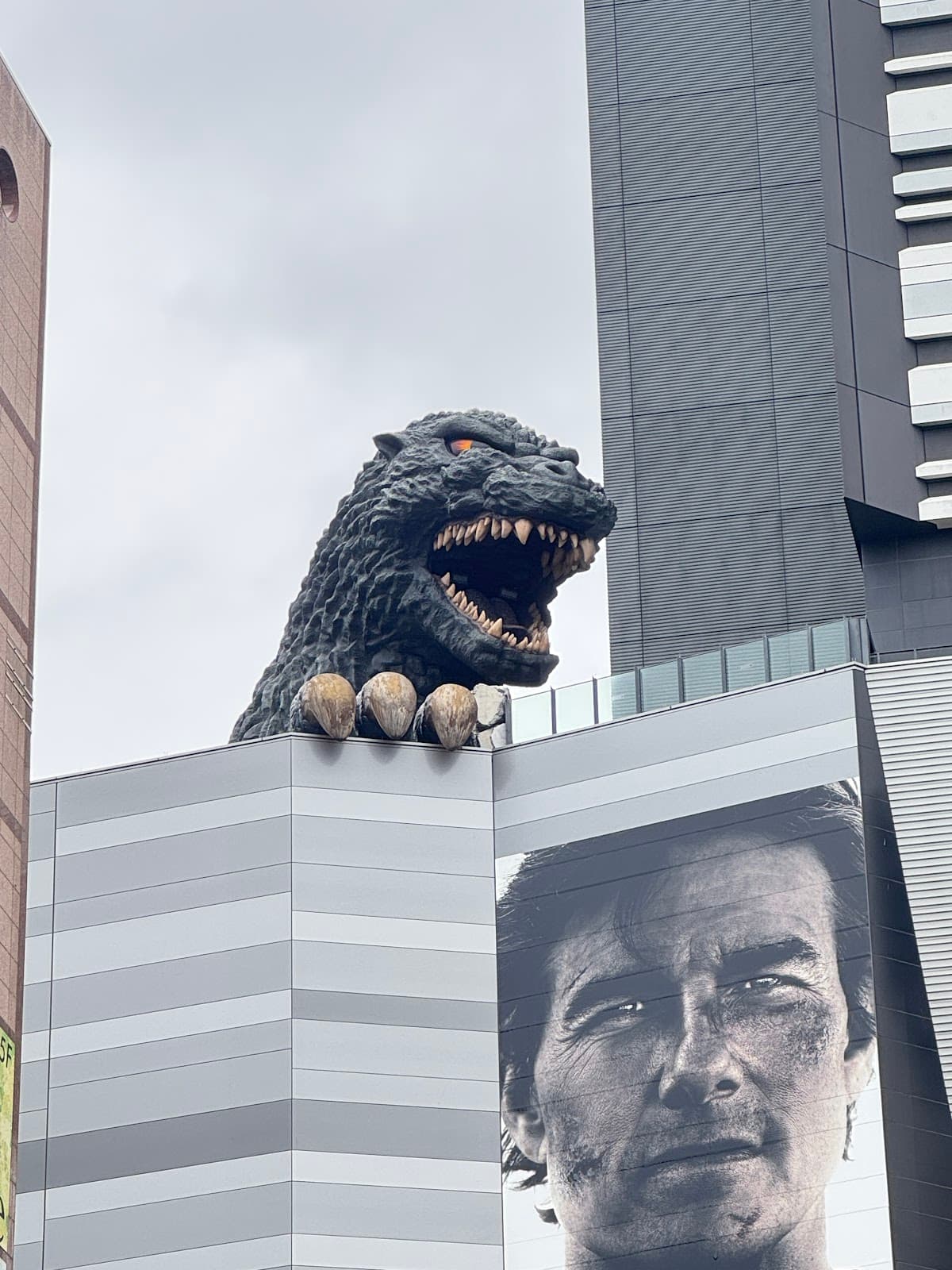 Shinjuku Toho Godzilla Head — photo 1