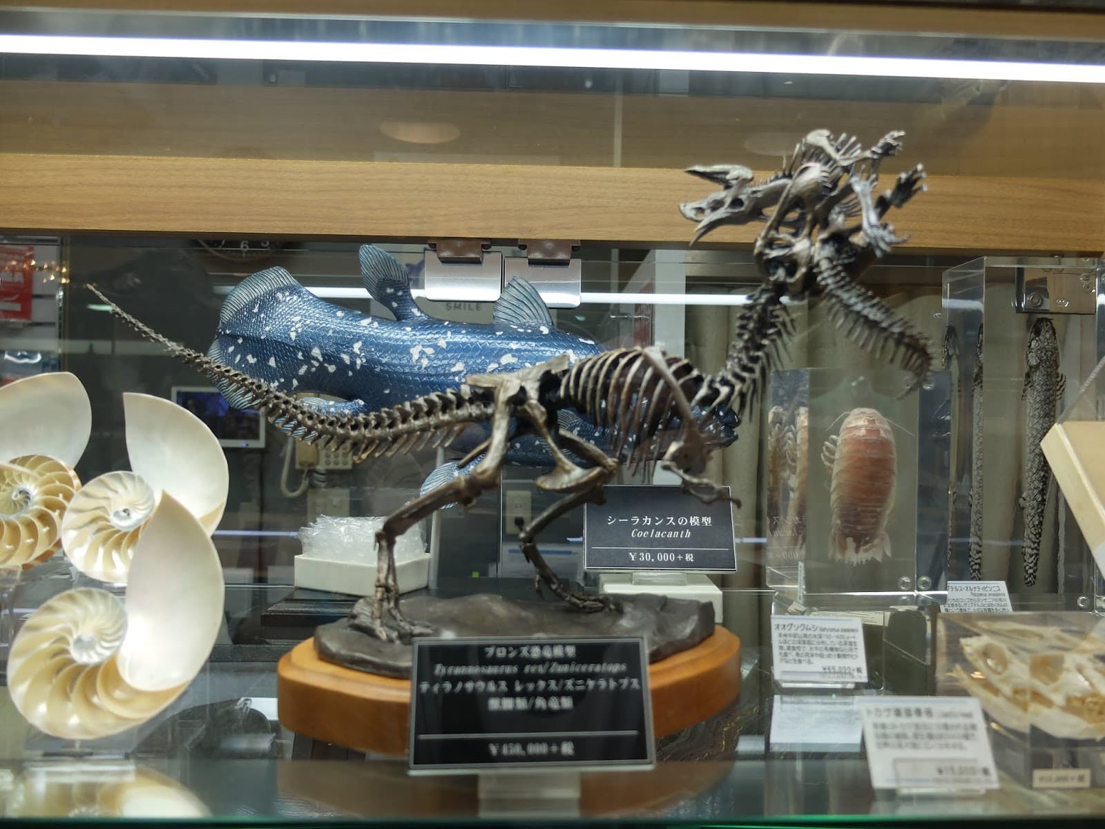 Kinokuniya Shinjuku (Manga Floor) — photo 6